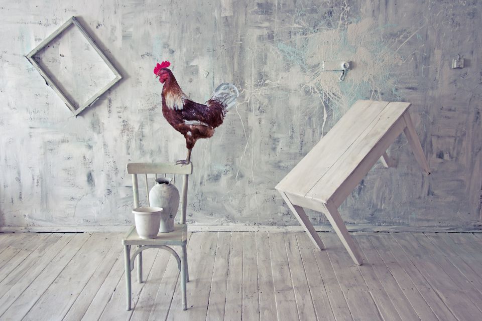 Márkapozícionálás egyszerűen